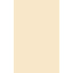 Image miniature AROSA-T200X275-88838-148 .jpg
