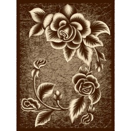 Image miniature NOUR-T200X150-60779-110 .jpg