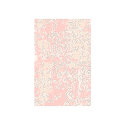 Image miniature AYAS-T65X100-9239B-42 .jpg
