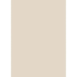 Image miniature FENNEC-T200X280-10000-25 .jpg