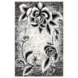 Image miniature NOUR-T165X230-60770-148 .jpg