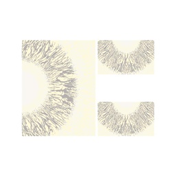 Image miniature OZEL-S100X235-97420-253051 .jpg