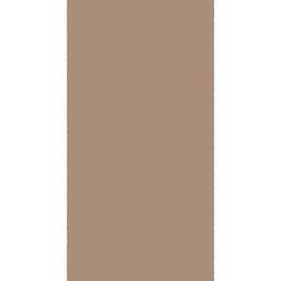 TAGHIT 10000 (Rouleau, 105X3000, BRONZE CLAIR)