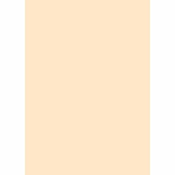 أنور 10000 (مستطيل, 210X280, بيج فاتح)