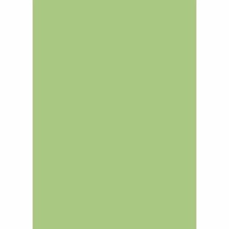 VICTORIA 10000 (Rectangulaire, 160X230, VERT RESEDA)
