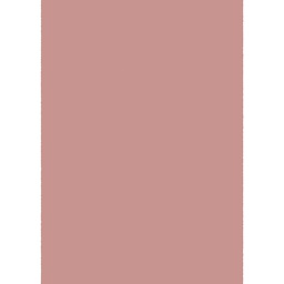 VICTORIA 10000 (Rectangular, 200X280, BOIS DE ROSE)