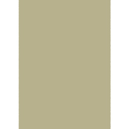 MATRIX 10000 (Rectangulaire, 200X280, BRUN VERT)