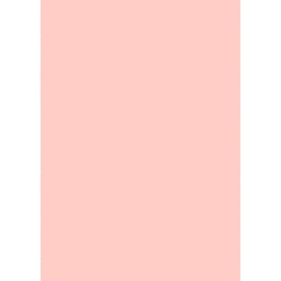 بليم 10000 (مستطيل, 200X280, وردي باستيل مع لمعة)