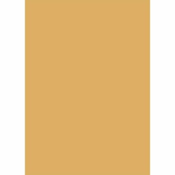 OURSON 10000 (Rectangulaire, 160X230, OR)
