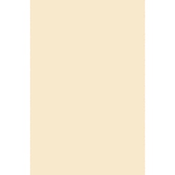 OLYMPIA 10001 (Rectangulaire, 200X280, CREME LX)