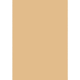 AUTRICHE 10000 (Rectangulaire, 160X230, BEIGE)