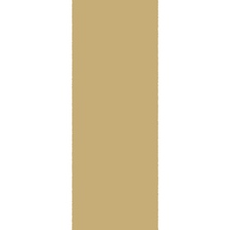 AUTRICHE 10000 (Rouleau, 100X500, CARAMEL)
