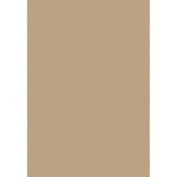 FENNEC 10000 (Rectangulaire, 160X230, BEIGE)