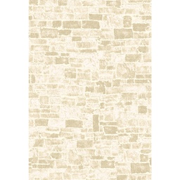 ANKARA 7997C (Rectangulaire, 200X280, BEIGE)