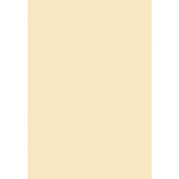 أوطريش 10000 (مستطيل, 160X230, بيج فاتح)