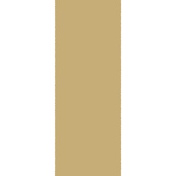 أوطريش 10000 (أسطوانة, 100X400, كراميل)