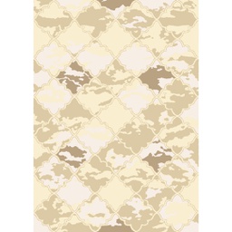 ANKARA 97201 (Rectangular, 200X280, IVOIRE)