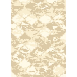 ANKARA 97201 (Rectangulaire, 200X280, BEIGE)