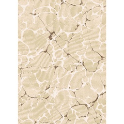 ANKARA 79910 (Rectangular, 200X280, BEIGE)