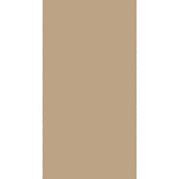 فنك 10000 (أسطوانة, 80X300, بيج)