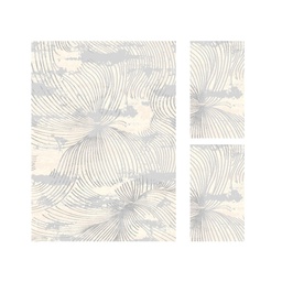 MUGLA 97860 (Rectangulaire, ( T 160X220 + 2T 60X110 ), ECRU SHRINK - GRIS CLAIRE)