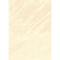DUBAI 9458L (Rectangular, 200X280, CREME)