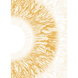 KILIS 97420 (Rectangular, 200X280, BLANC SHRINK)