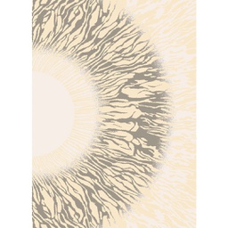 كيليس 97420 (مستطيل, 200X280, بيج فاتح -شرينك-)