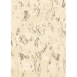 MADRID 93110 (Rectangular, 200X280, ECRU SHRINK_BRONZE)