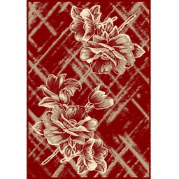NOUR 96123 (Rectangular, 160X230, BORDEAUX)
