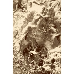 RIMAS 99590 (Rectangulaire, 200X275, IVOIRE)