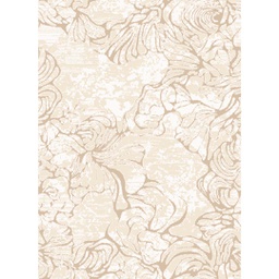 RIHAB 98400 (Rectangular, 200X275, IVOIRE CLAIRE)