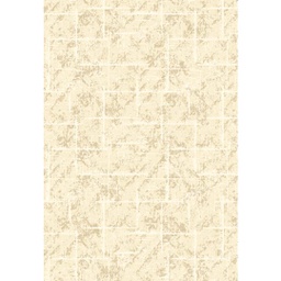 ANKARA 98470 (Rectangular, 160X230, CREME)