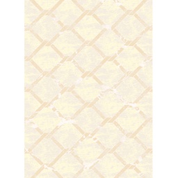 KILIS 9978A (Rectangulaire, 200X280, ECRU SHRINK)