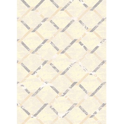 KILIS 9978C (Rectangulaire, 200X280, ECRU SHRINK)