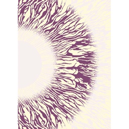 أوزيل 97420 (مستطيل, 200X280, بني)