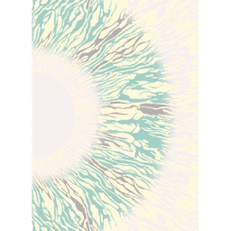 OZEL 97421 (Rectangular, 200X280, ECRU SHRINK_BLEU)