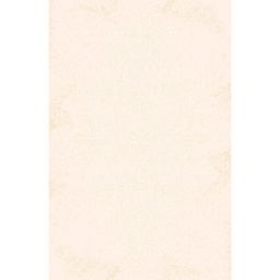 ISLANDA 65350 (Rectangular, 300X400, ECRU)