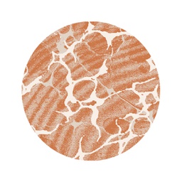 ANKARA 79910 (Round, 120X120, BRIQUE)