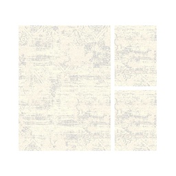 MADRID 93101 (Rectangulaire, ( T 160X220 + 2T 60X110 ), ECRU SHRINK - GRIS CLAIRE)