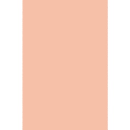 ريفيرا 10000 (مستطيل, 200X280, وردي سلموني)