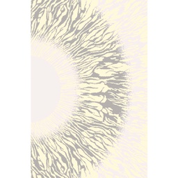 OZEL 97420 (Rectangulaire, 200X280, ECRU SHRINK  - GRIS FONCÈ)