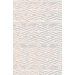 JAKARTA A0730 (Rectangulaire, 200X280, ECRU SHRINK - GRIS CLAIRE)