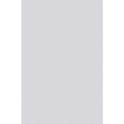 FENNEC 10000 (Rouleau, 100X2000, GRIS CLAIRE)