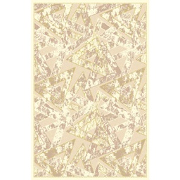 BRAGA 98711 (Rectangulaire, 200X280, ECRU)