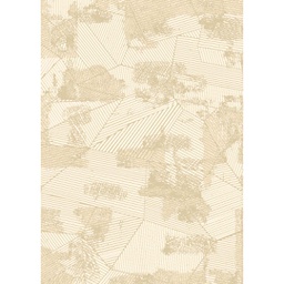 MADRID 99750 (Rectangular, 200X280, ECRU SHRINK - BEIGE)