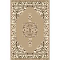 NOUR 51696 (Rectangulaire, 200X275, VISON CLAIR)
