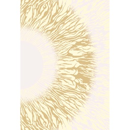 OZEL 97420 (Rectangulaire, 150X220, ECRU SHRINK_MARRON MIEL)