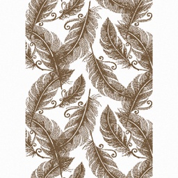 GALA A8735 (Rectangulaire, 150X220, ECRU SHRINK_MARRON CAFE)