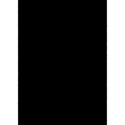 بليم 10000 (مستطيل, 200X280, أسود مع لمعة - شيشان-)